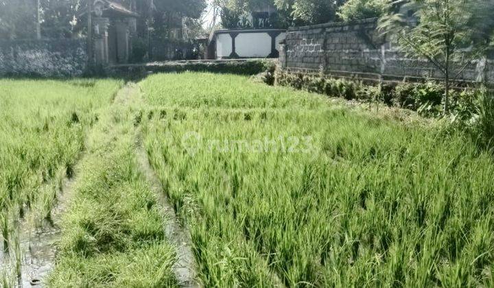 Land for sale in Kerobokan location 1