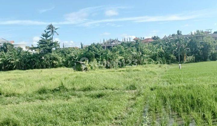 Land for sale in Kerobokan location 2