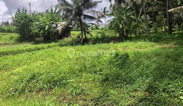 Land for sale in Pezeng location 1