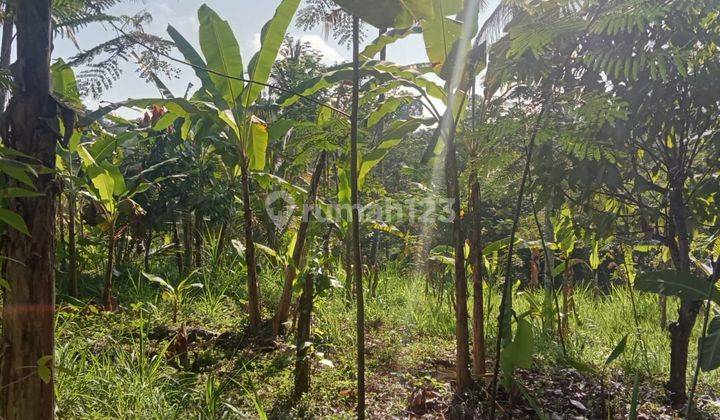 Land for sale plot location 2