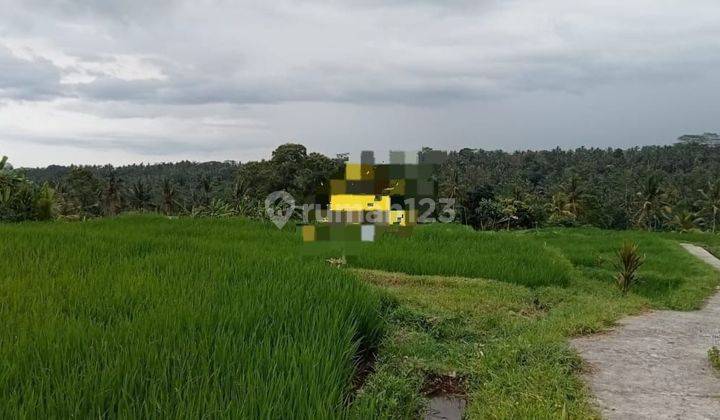 Land for sale in Tegallalang location 1