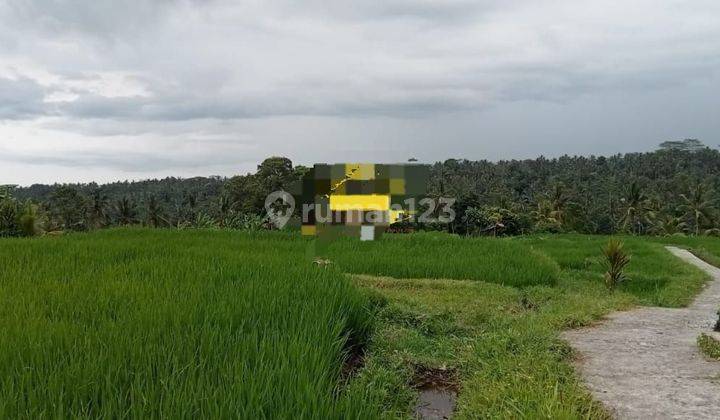 Land for sale in Tegallalang location 2