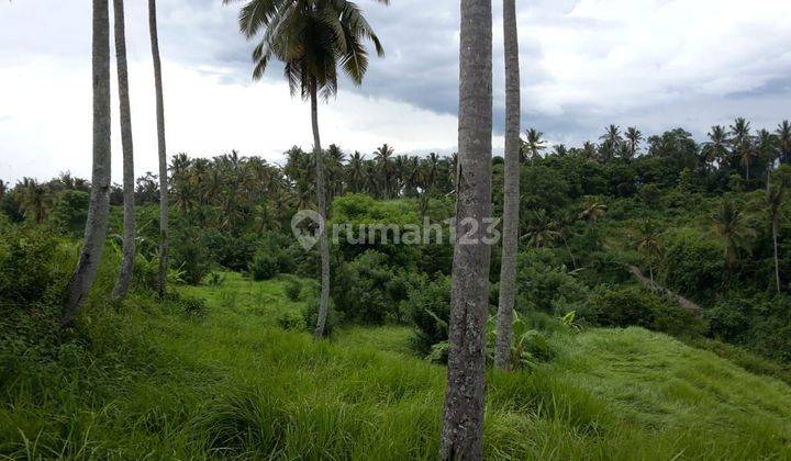 Land Location Lodtunduh 2