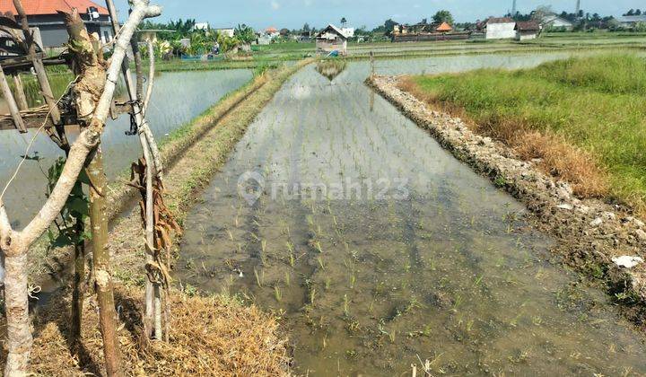 Tanah Jual Lokasi Singakerta 1