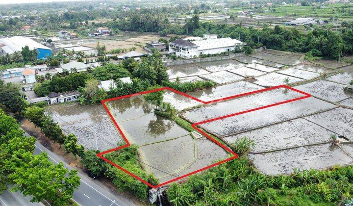 Tanah Jual Lokasi Keramas 2