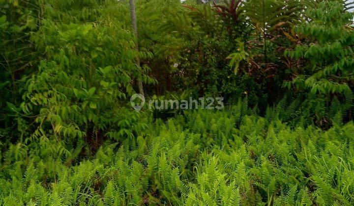 Land for sale Ubud location 2