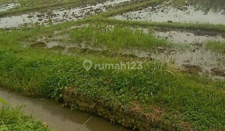 Tanah Jual Lokasi Kedungu 2