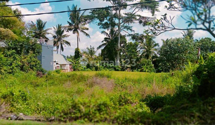 Land for sale in Petulu location 1