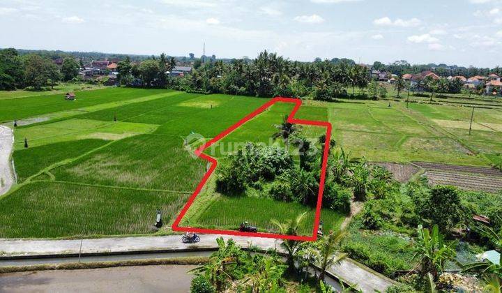 Tanah Jual Lokasi Peliatan 1