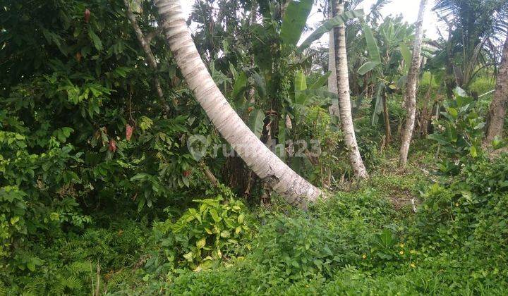 Land for sale in Tegallalang location 1