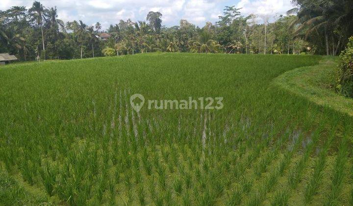 Land for sale in Tegallalang location 2