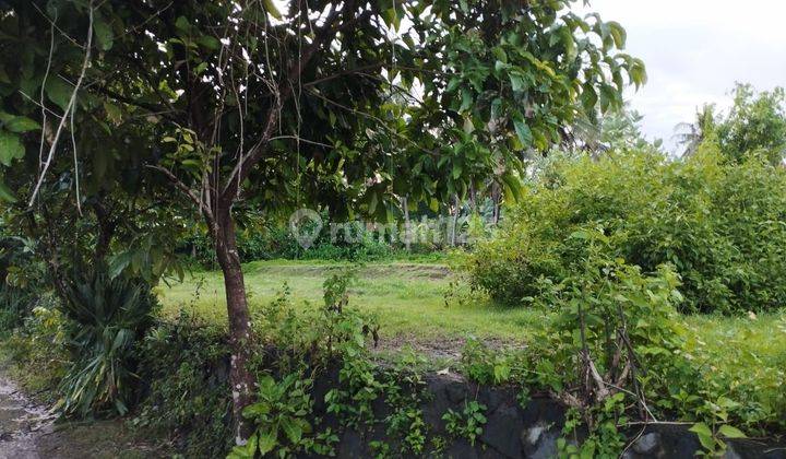 Land for sale in Saba location 1