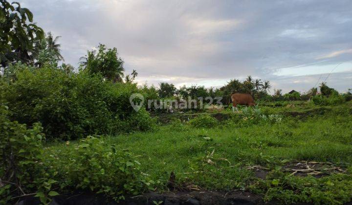 Land for sale in Saba location 2