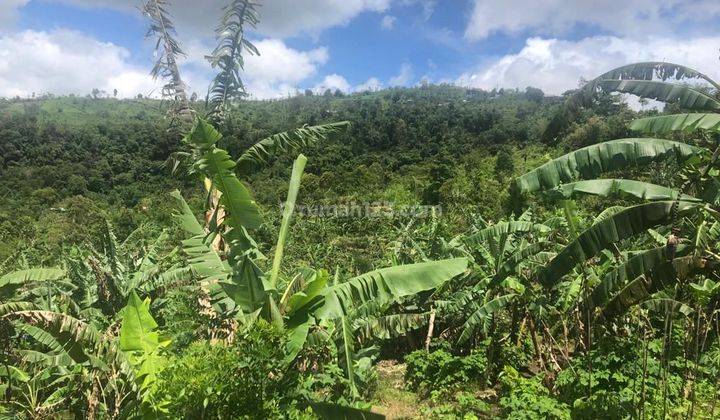 Land for sale in Munduk location 1