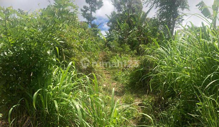 Land for sale in Munduk location 2