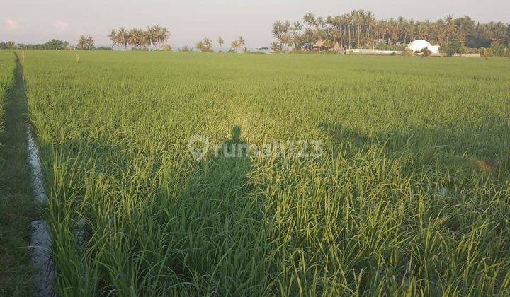 Land for sale in Pasut location 2