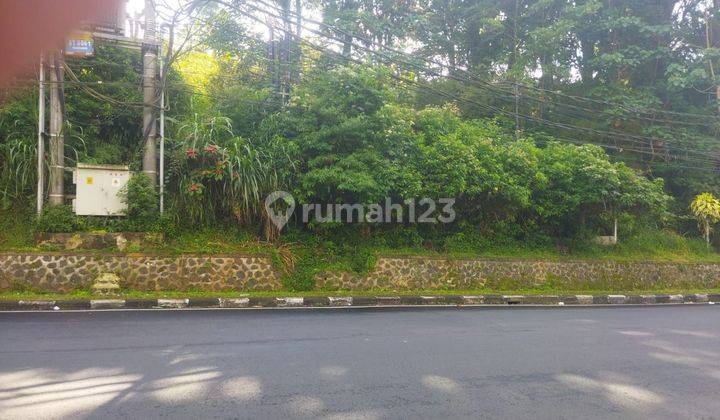 Tanah Jual Lokasi Bedugul 1