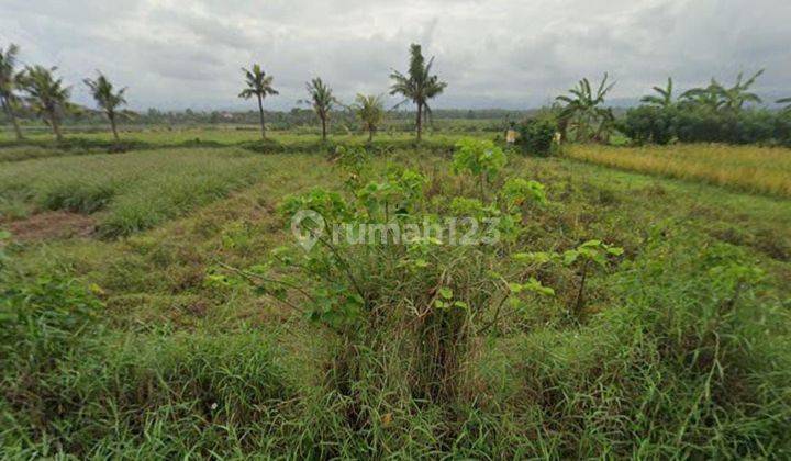 Land for sale in Yeh Embang location 2