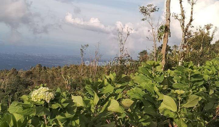 Tanah Jual Lokasi Asah Gobleg 1