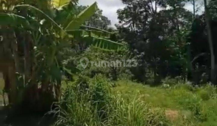 Land for sale in Pezeng location 2