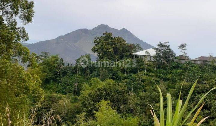 Land for sale in Central Batur location 2