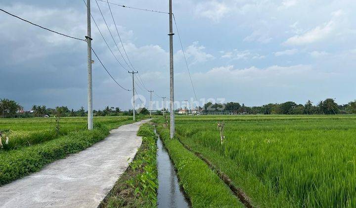 Tanah Jual Lokasi Kedungu 2