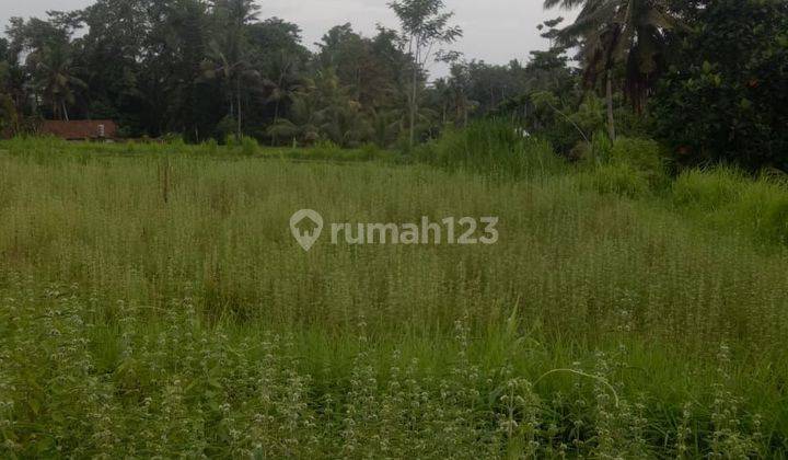 Land for sale in Pezeng location 2