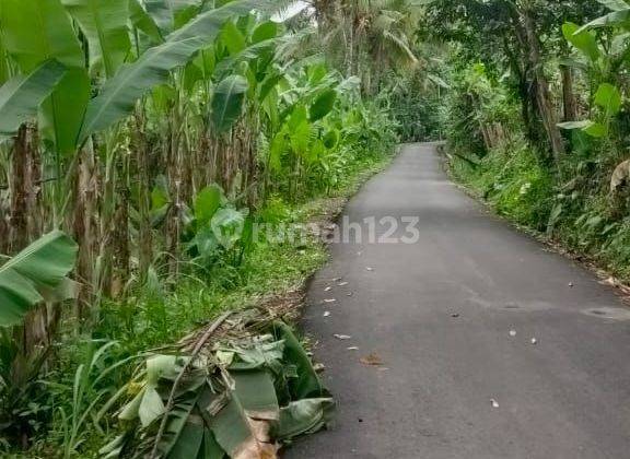 Land for sale Payangan location 1