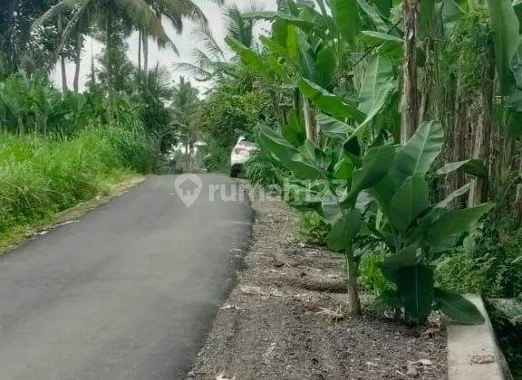 Land for sale Payangan location 2