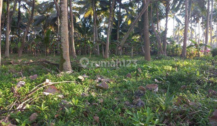 Land for sale in Pekutan location 1