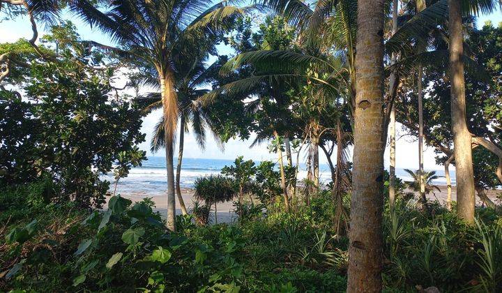 Land for sale in Pekutan location 2