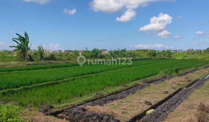 Tanah Jual Lokasi Buwit 1