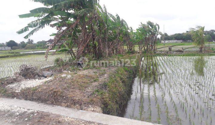 Tanah Jual Lokasi Buwit 1