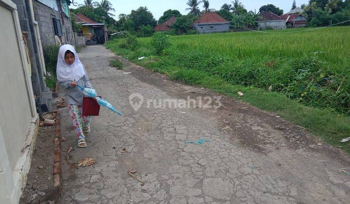 Tanah Jual Lokasi Seririt 2