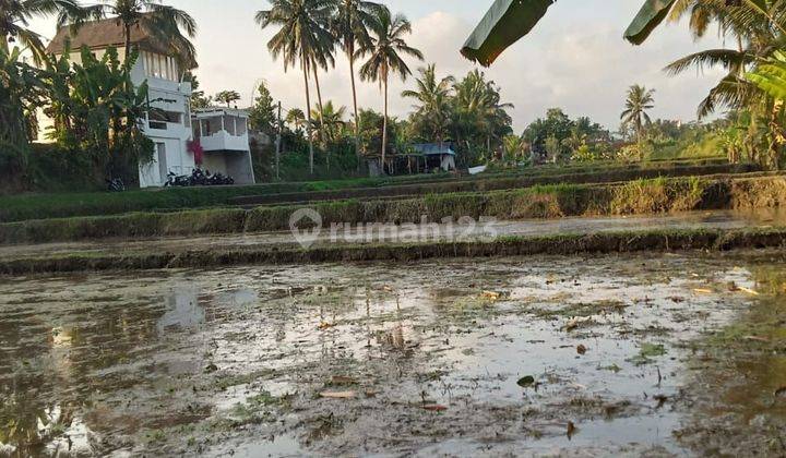 Tanah Jual Lokasi Ubud 1