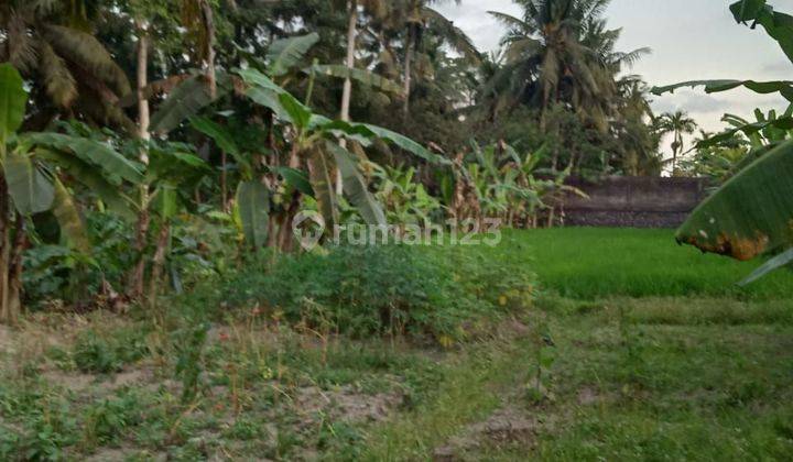 Tanah Jual Lokasi Ubud 2