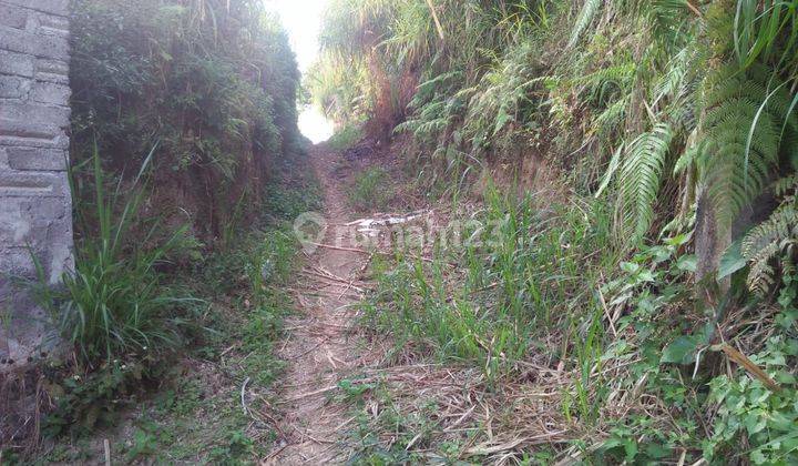 Land for sale in Katung location 2