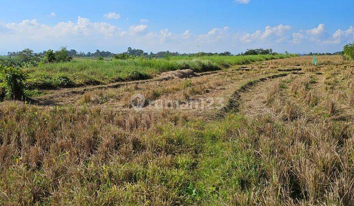 Land for sale Hut location 2