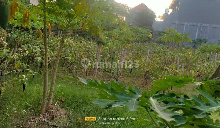 Land for sale located in Tukad Badung 2