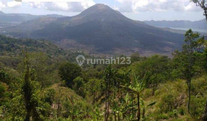 Tanah Jual Lokasi Batur Selatan 1