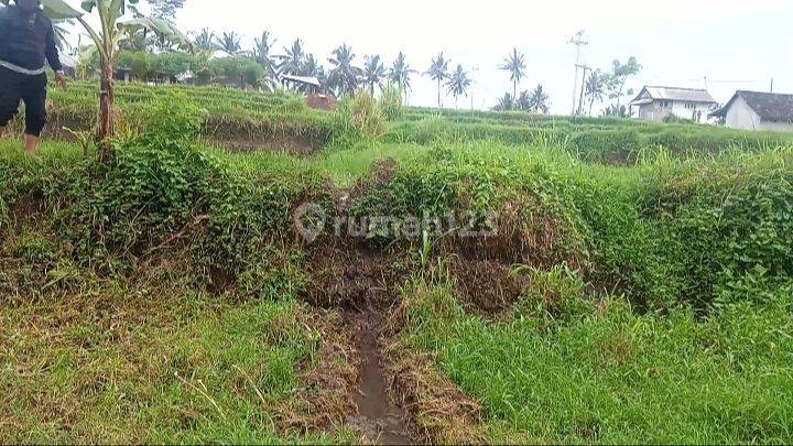 Tanah Jual Lokasi Pejeng Kawan 1