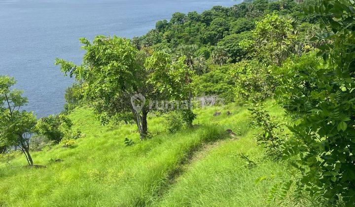 Tanah Jual Lokasi Seraya 1