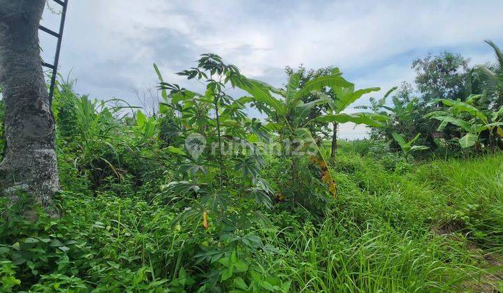 Tanah Jual Lokasi Singapadu 1