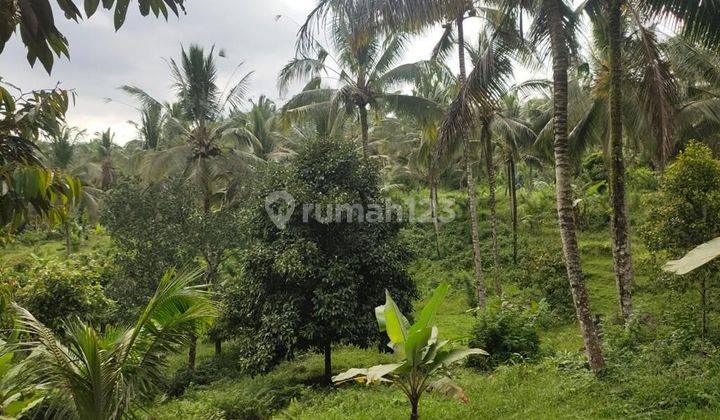 Tanah Jual Lokasi Gadungan 1