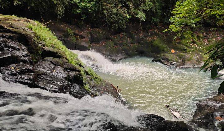 Tanah Jual Lokasi Gadungan 2