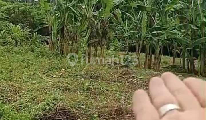 Tanah Jual Lokasi Kemenuh