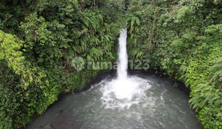Tanah Jual Lokasi Lemukih