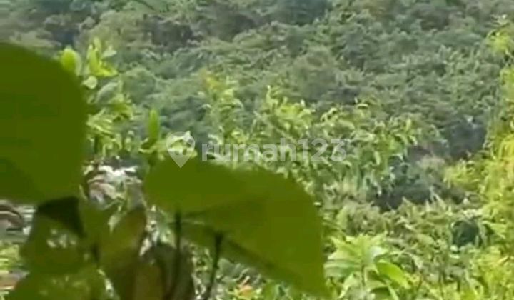 Land for Sale Location Nusa Dua