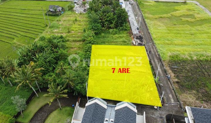 Tanah Jual Lokasi Nyanyi Tanah Jual Lokasi Nyanyi