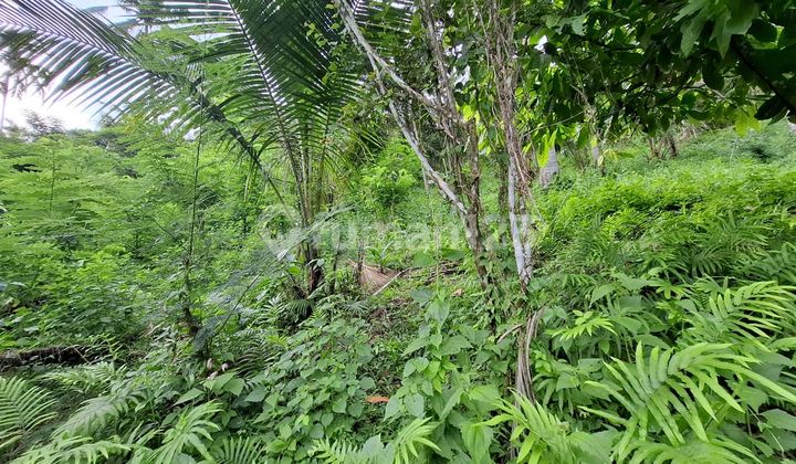 Land for Sale Location Lalanglinggah